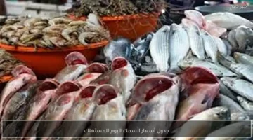 تحديثات الأسعار.. قائمة أسعار السمك اليوم الاثنين في سوق العبور للمستهلكين